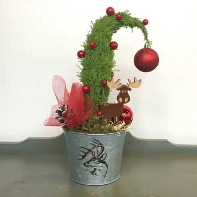 Christmas flowers-Van Florist delivery Vancouver