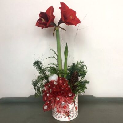 Christmas flowers-Van Florist delivery Vancouver