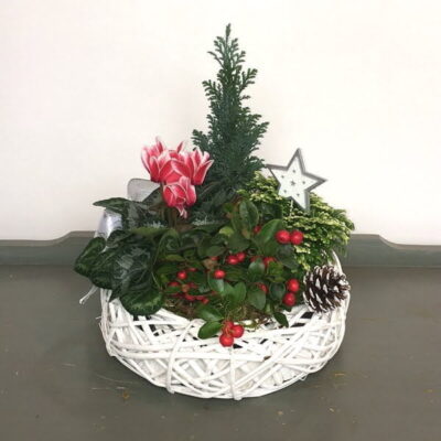 Christmas planter arrangement-Van Florist delivery Vancouver