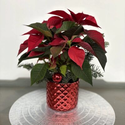 Christmas flowers-Van Florist delivery Vancouver