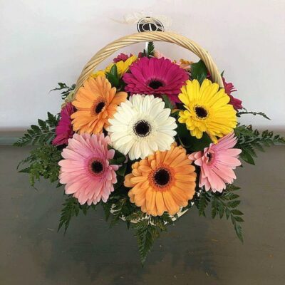 Gerberas basket-Van Florist delivery Vancouver