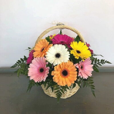 Gerberas in a basket-Van Florist delivery Vancouver