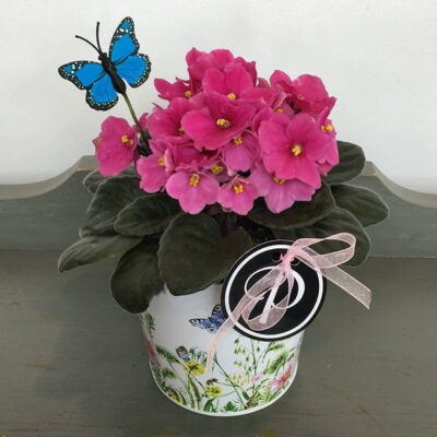 Plan-Van Florist delivery Vancouver