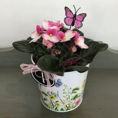 Plant-Van Florist delivery Vancouver