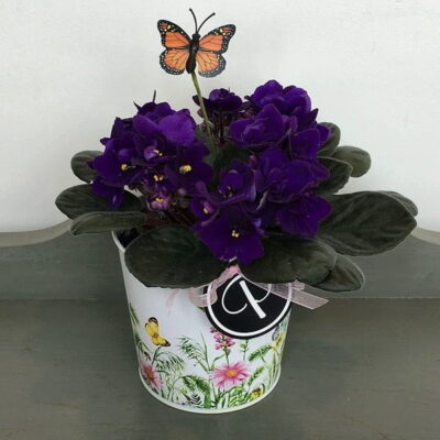 Plants-Van Florist delivery Vancouver