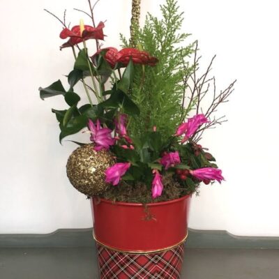 Christmas arrangement-Van Florist delivery Vancouver