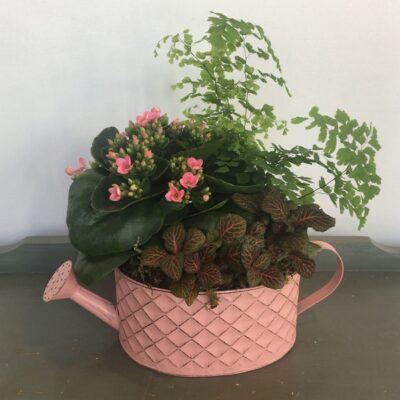 plant-Van Florist delivery Vancouver