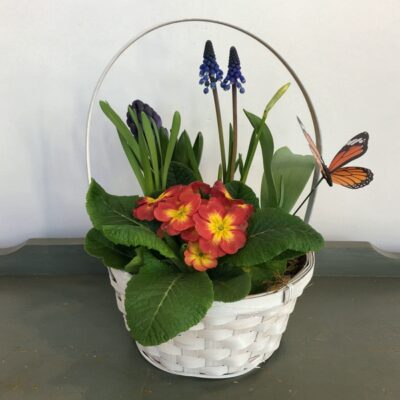 plant-Van Florist delivery Vancouver