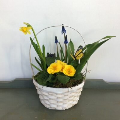 plant-Van Florist delivery Vancouver - refund and returns