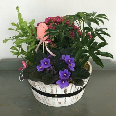 PL023 Vollage Barrel Garden Planter