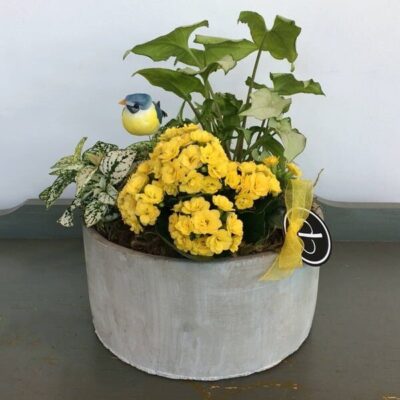 Plant-Van Florist delivery Vancouver