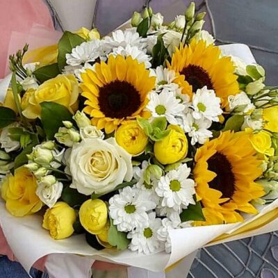 TG027 Sweet Success Sunflower