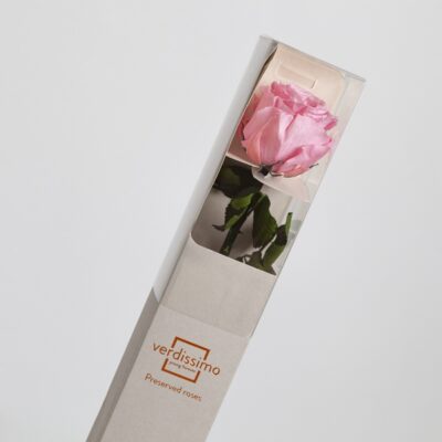 Preserved Pink Rose-Van Florist delivery Vancouver